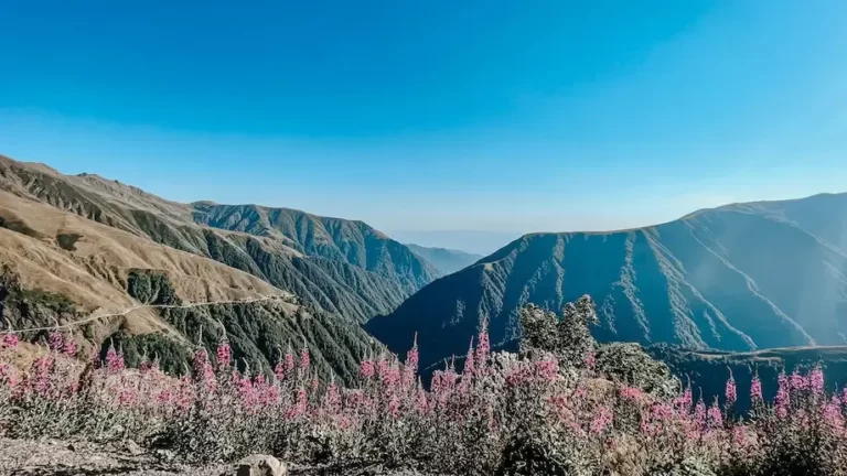 Nat&aacute;lia Becattini publica mat&eacute;ria sobre Estrada da Morte na Ge&oacute;rgia na UOL