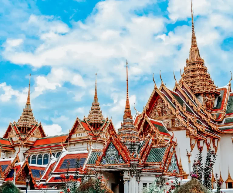 Escrever sobre o mundo me ensinou a vê-lo