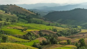 De campos de ópio a fazendas orgânicas: O projeto de turismo de base comunitária nos arredores de Chiang Mai