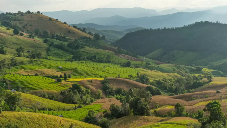 De campos de ópio a fazendas orgânicas: O projeto de turismo de base comunitária nos arredores de Chiang Mai