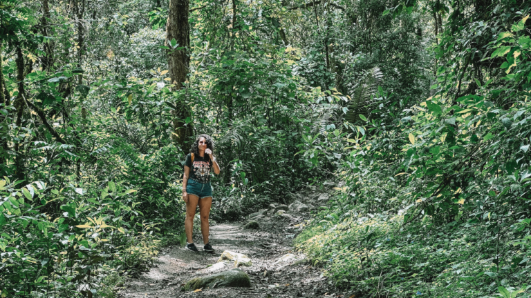Largada e pelada em uma floresta andina